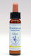 Healing Herbs Hornbeam Esență Florală în Picături 10ml