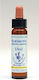 Healing Herbs Agrimony Ανθοΐαμα σε Σταγόνες για Χαλάρωση 10ml