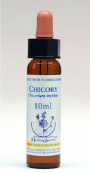 Healing Herbs Chicory Ανθοΐαμα 10ml