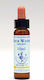 Healing Herbs Rock Water Esență Florală în Picături 10ml