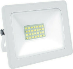 Aca Waterproof LED Floodlight 20W 6000K