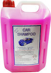 Eurochem Shampoo Cleaning for Body Car Shampoo 4lt EUROC003