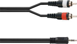 Audio Master 3.5mm male-RCA male TLC172
