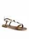 Parex Women's Flat Sandals in Brown Color 11519057.KM