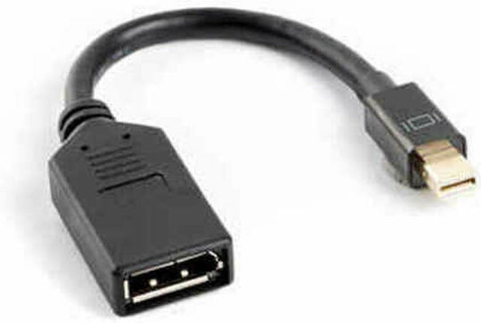 Lanberg Μετατροπέας mini DisplayPort male σε DisplayPort female 1τμχ AD-0003-BK