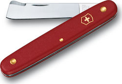 Victorinox Budding Swiss Army Knife with Blade made of Stainless Steel