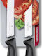 Victorinox Swiss Classic Knife General Use from Stainless Steel 11cm