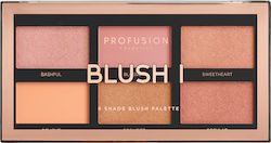 Profusion Cosmetics 6 Shade Blush Palette 10.4gr