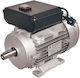 Plus Еднофазен Електрически Двигател 4hp Максимални Обороти 1400rpm с Клин 220V