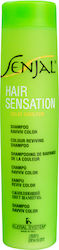 Kleral Senjal Colour Reviving Shampoo 250ml