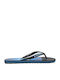 Quiksilver Molokai Hold Down Flip Flops σε Μαύρο Χρώμα