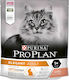 Purina OptiDerma Elegant Adult Trockenfutter für erwachsene Katzen mit Lachs 0.40kg