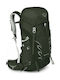 Osprey Talon 33 Bergsteigerrucksack 33Es Yerba Green