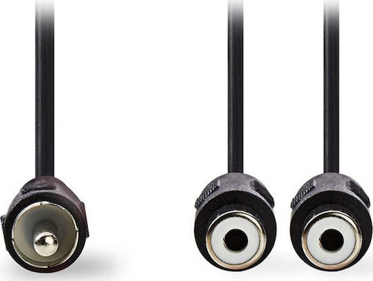 Nedis Cable RCA male - RCA female 0.2m CAGP24010BK02