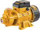 Ingco Electric Surface Water Pump 0.5hp