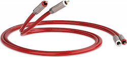 QED QE2455 RCA male - RCA male 3m