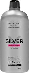 Miss Sandy Silver Shampoos Color Maintenance for Coloured Hair 750ml