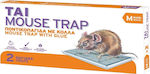 Animal Traps