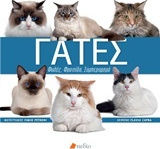 Γάτες Γάτες