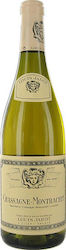 Louis Jadot Chassagne Montrachet White Dry 750ml Louis Jadot Chassagne Montrachet White Dry 750ml