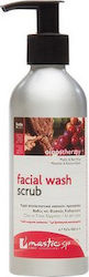 Mastic Spa Facial Wash Scrub 200ml