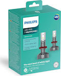 Philips Lămpi Autoturismului Ultinon LED H11 / H16 / H8 LED 6200K Alb rece 12V 2buc