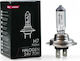 M-Tech Lampen Auto & Motorrad Halogen H7 Halogen 24V 70W 1Stück