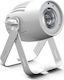 Cameo Προβολέας Spot LED PAR Q-Spot 40 RGBW White RGBW