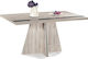 Tisch Speisesaal Holz 160x90cm