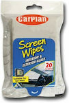 Car Plan Wipes Cleaning 20τμχ for Windows Screen Wipes CSW015