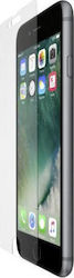 Belkin InvisiGlass Ultra Display Screen Protector (iPhone SE 2020 / 8 / 7)
