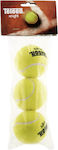 Teloon Knight Practice Tennis Balls 3pcs