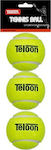 Teloon Pro Μπαλάκια Τένις για Προπόνηση 3τμχ