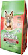 Simba Croquettes with Beef 4kg Dry Food for Adult Dogs with Beef