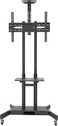 Focus Mount Fixed T633 Βάση Τηλεόρασης Δαπέδου έως 65"