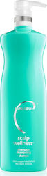 Malibu C Kopfhaut Wellness Shampoo 1000ml Malibu C Kopfhaut Wellness Shampoo 1000ml