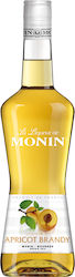 Monin Monin