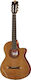 Alhambra Electro-Clasic Chitară 4/4 CS-1 Luciu natural