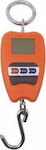 Electronic Commercial Crane Scale 150kg/20gr