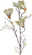 Inart Ramură Decorativă Artificială Magnolia White 104cm 1buc