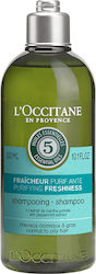 L'Occitane Purifying Freshness Shampoos Deep Cleansing for Oily Hair 300ml