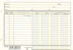 Typotrust Καρτέλες 4-στήλες Πλάγιες Accounting Ledger Paper 100 Sheets 135