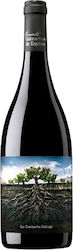 Proyecto Garnachas La Garnacha Salvaje del Moncayo Ερυθρό Ξηρό 750ml
