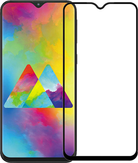 2.5D Full Face Tempered Glass (Galaxy M20)