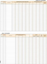 Typofix Income and Expense Book Accounting Ledger Book 3-314 Typofix Income and Expense Book Accounting Ledger Book 3-314