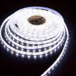 Aca Wasserdicht LED Streifen Versorgung 220V mit Kaltweiß Licht pro Meter und 60 LED pro Meter SMD5050