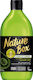 Nature Box Avocado Oil Conditioner Αναδόμησης/Θρέψης για Ξηρά Μαλλιά 385ml