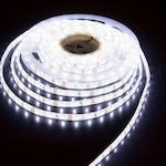 Aca Wasserdicht LED Streifen Versorgung 24V mit Kaltweiß Licht Länge 5m und 120 LED pro Meter SMD2835
