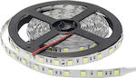 Optonica LED Strip Power Supply 24V with Cold White Light Length 5m and 60 LEDs per Meter SMD5050