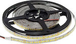 Optonica Waterproof LED Strip Power Supply 24V with Warm White Light Length 5m and 196 LEDs per Meter SMD2835